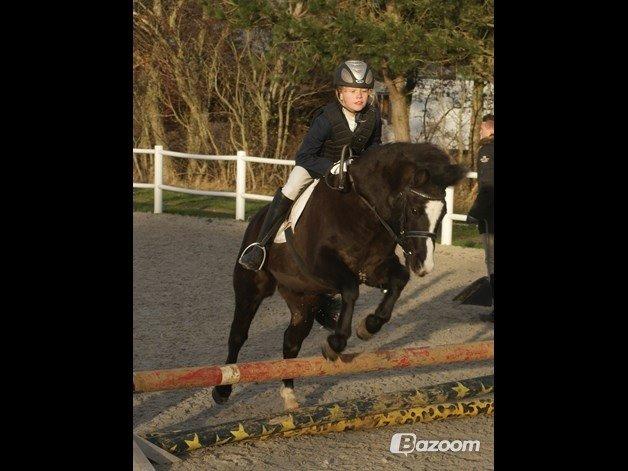 Anden særlig race Aslan billede 41