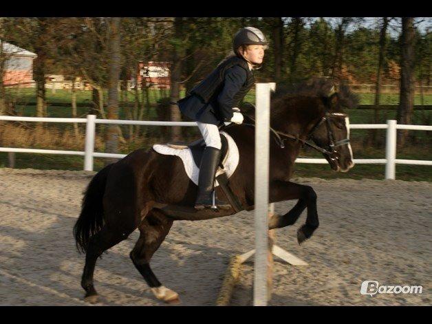 Anden særlig race Aslan billede 42