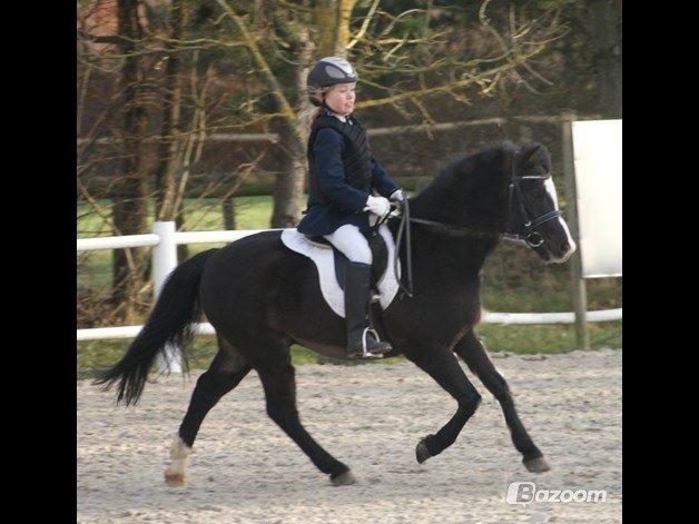 Anden særlig race Aslan billede 43