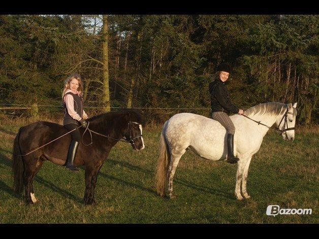 Anden særlig race Aslan billede 45