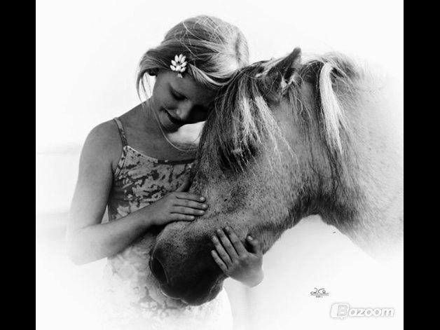 DSP Ivan (Silver)!<3 - bedste pony<3 billede 2