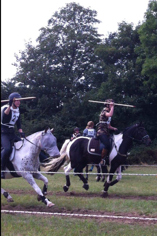 Knabstrupper Plettelise billede 18