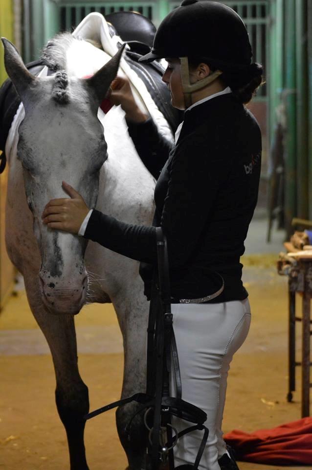 Knabstrupper Belle (Pippi) billede 16