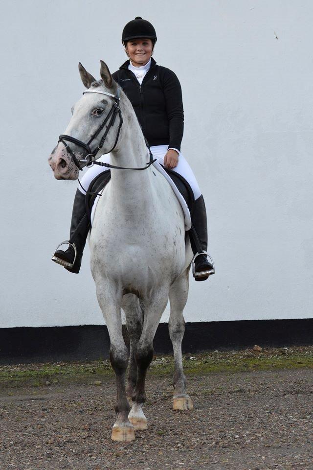 Knabstrupper Belle (Pippi) billede 4