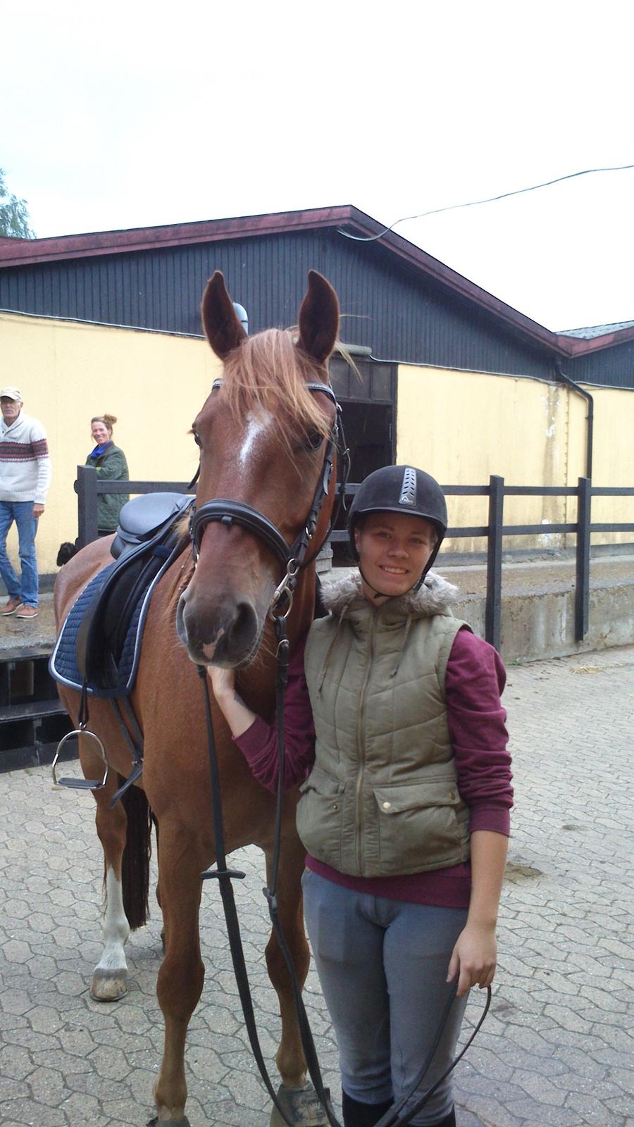 Frederiksborg Smakkerup's Tayson - Fra vores sidste skovtur d. 24/8-14 billede 9