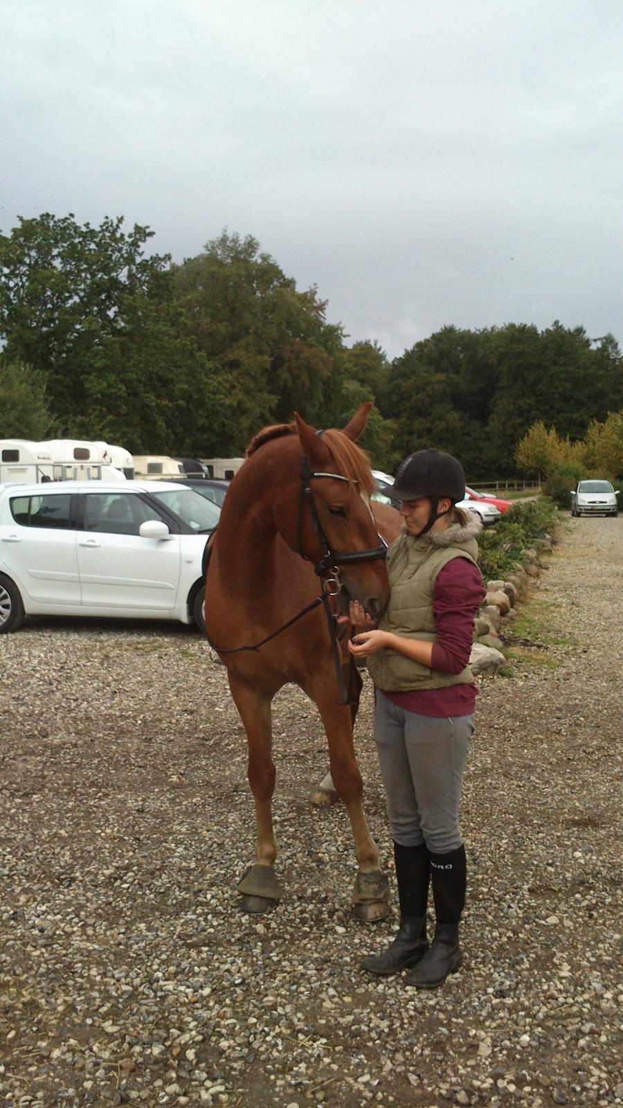 Frederiksborg Smakkerup's Tayson - Fra vores sidste skovtur d. 24/8-14 billede 10