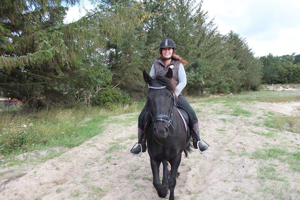 Fell pony Ellegaards Donna billede 28