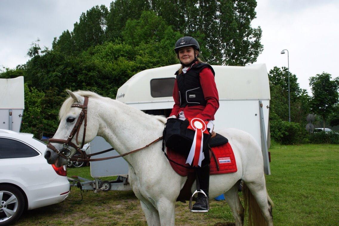 Welsh Pony (sec B) Skovbjergs Choice billede 9