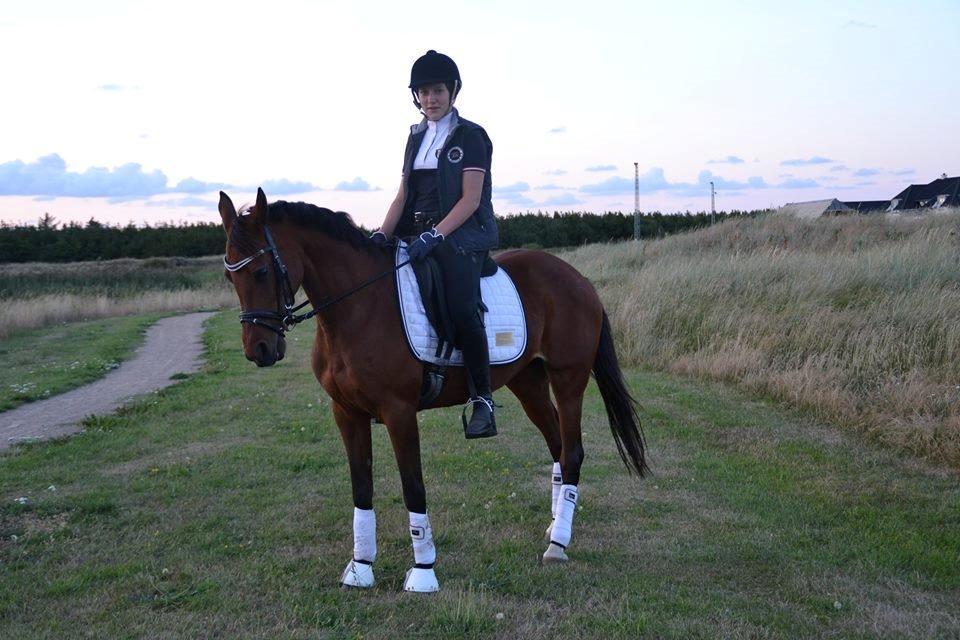 Anden særlig race Beauty Kronborg billede 4