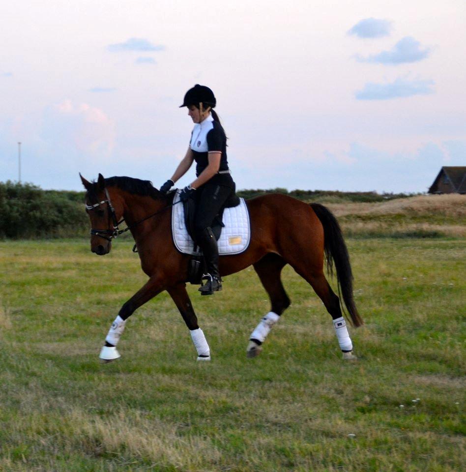 Anden særlig race Beauty Kronborg billede 1