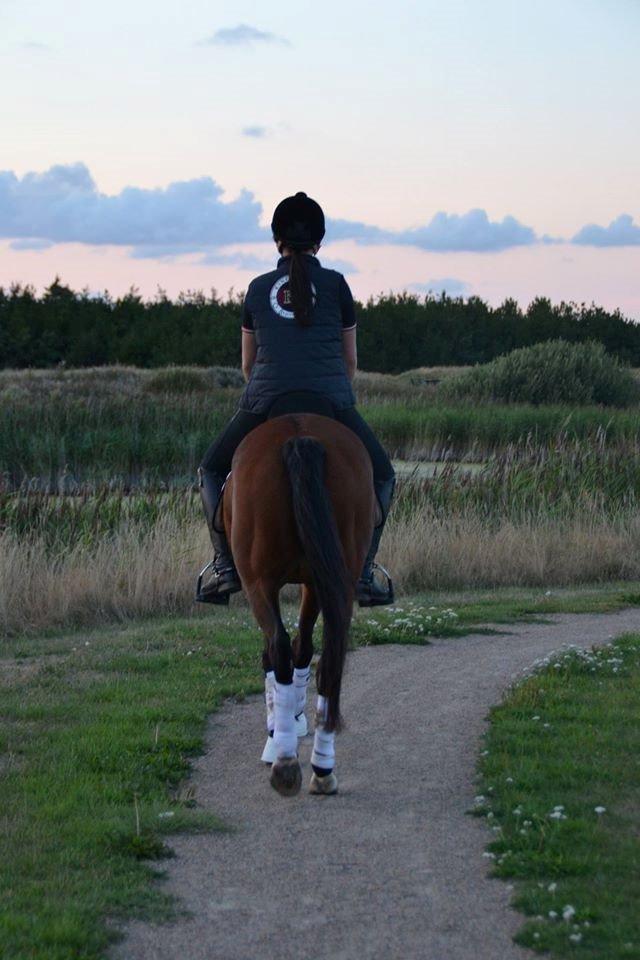 Anden særlig race Beauty Kronborg billede 10