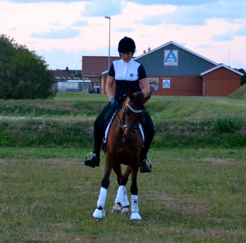 Anden særlig race Beauty Kronborg billede 2