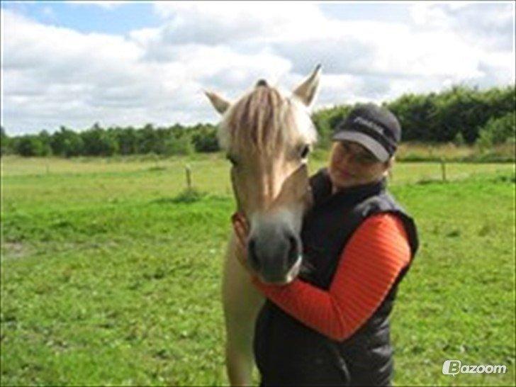 Anden særlig race Granstedets Key Lime Pie (Strit) billede 2