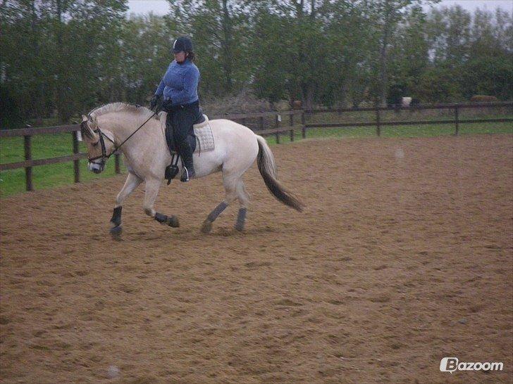 Anden særlig race Granstedets Key Lime Pie (Strit) billede 3
