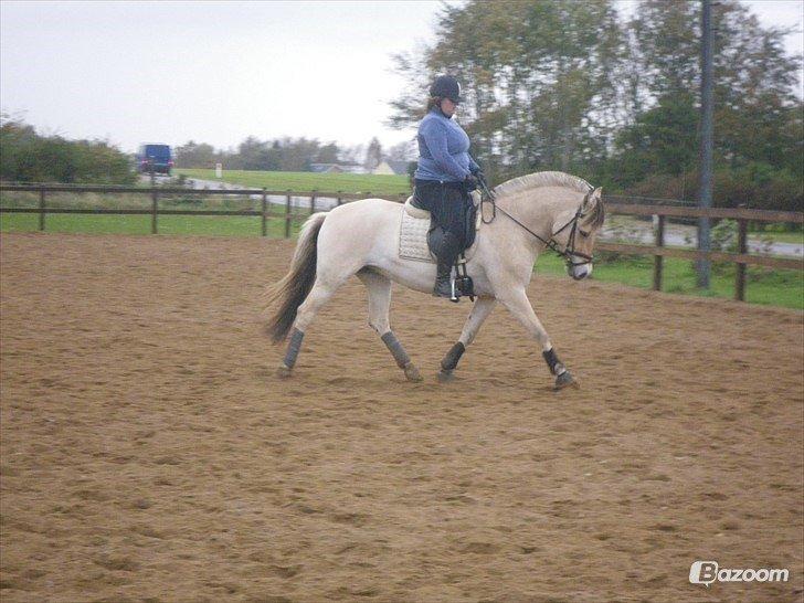 Anden særlig race Granstedets Key Lime Pie (Strit) billede 1