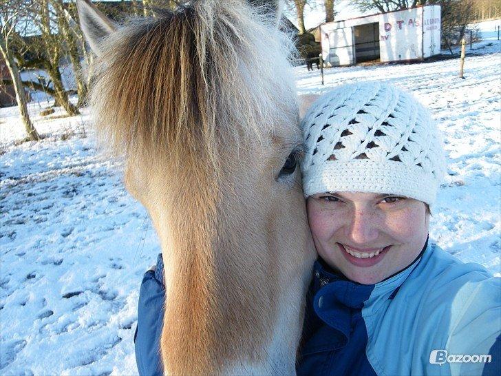 Anden særlig race Granstedets Key Lime Pie (Strit) billede 9