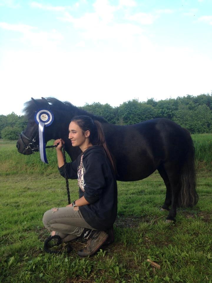 Anden særlig race Samba billede 1