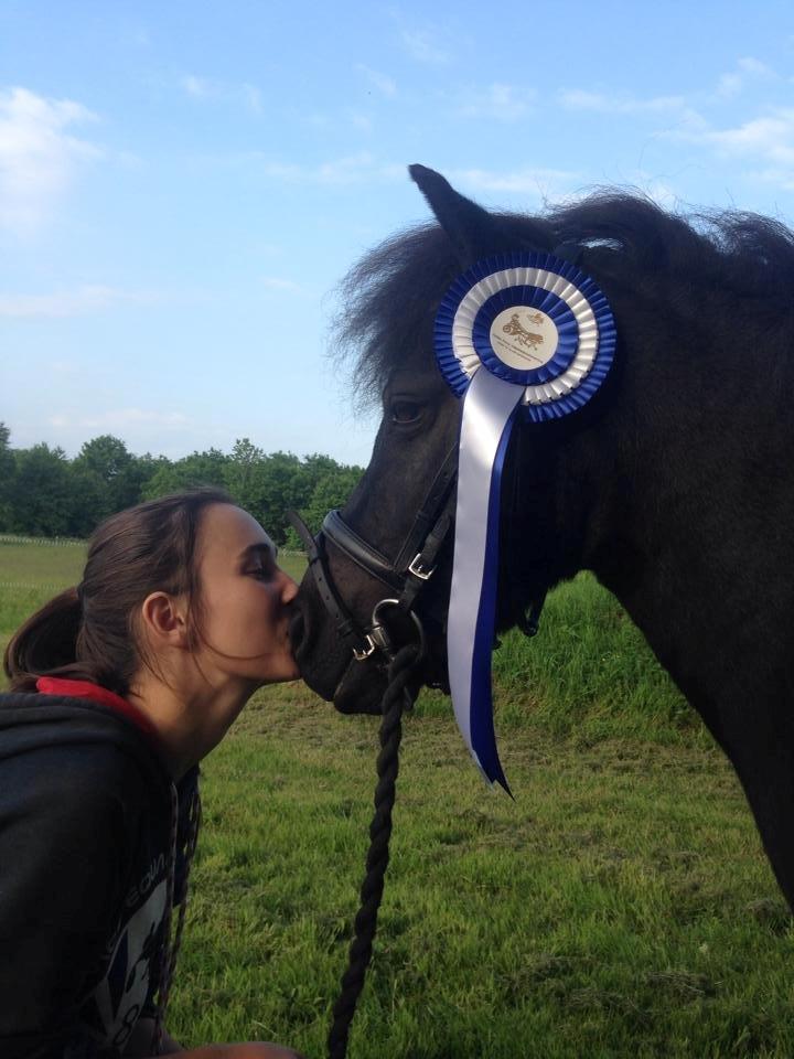 Anden særlig race Samba billede 3