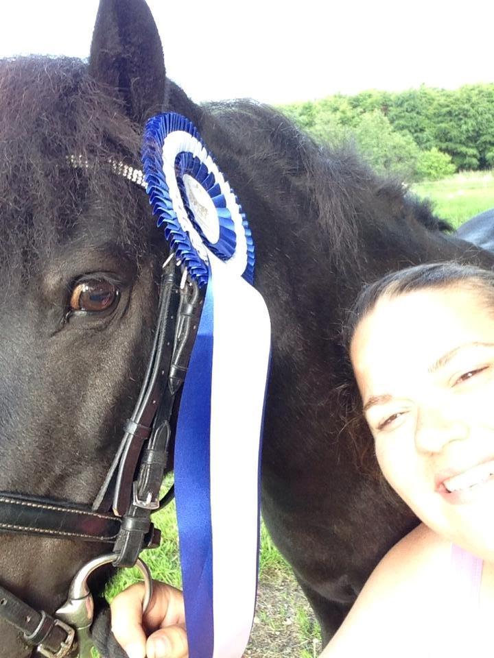 Anden særlig race Samba billede 4