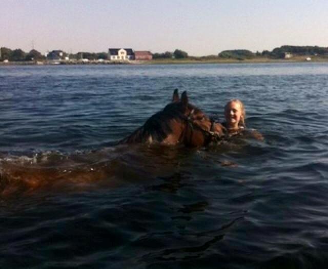 Anden særlig race Abby - Gotcha billede 17