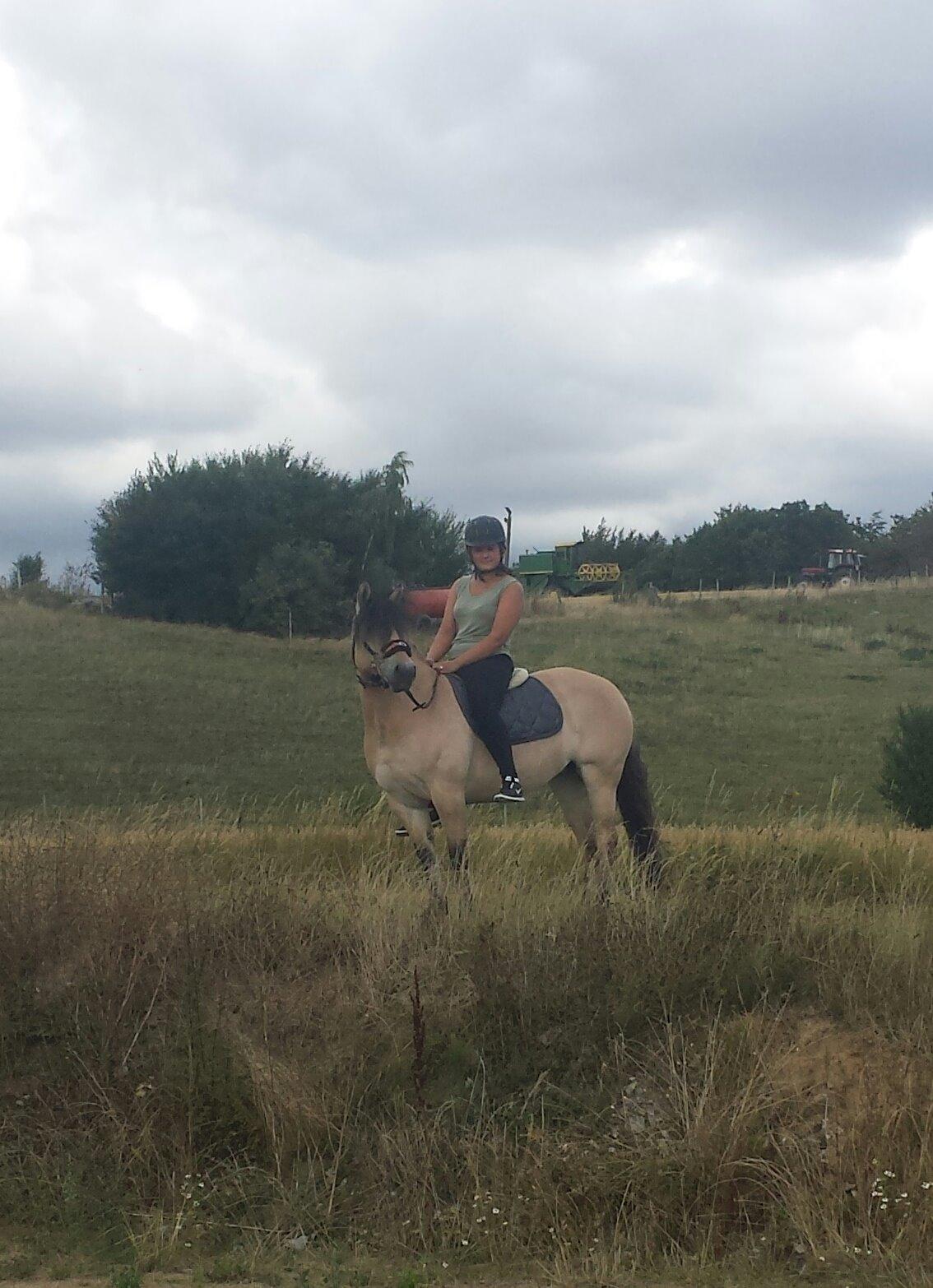Anden særlig race Caroline billede 2
