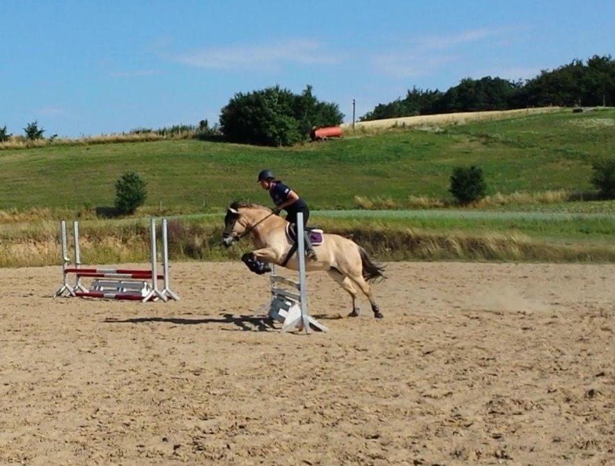 Anden særlig race Caroline billede 3