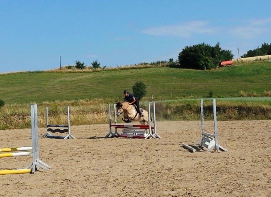 Anden særlig race Caroline billede 4