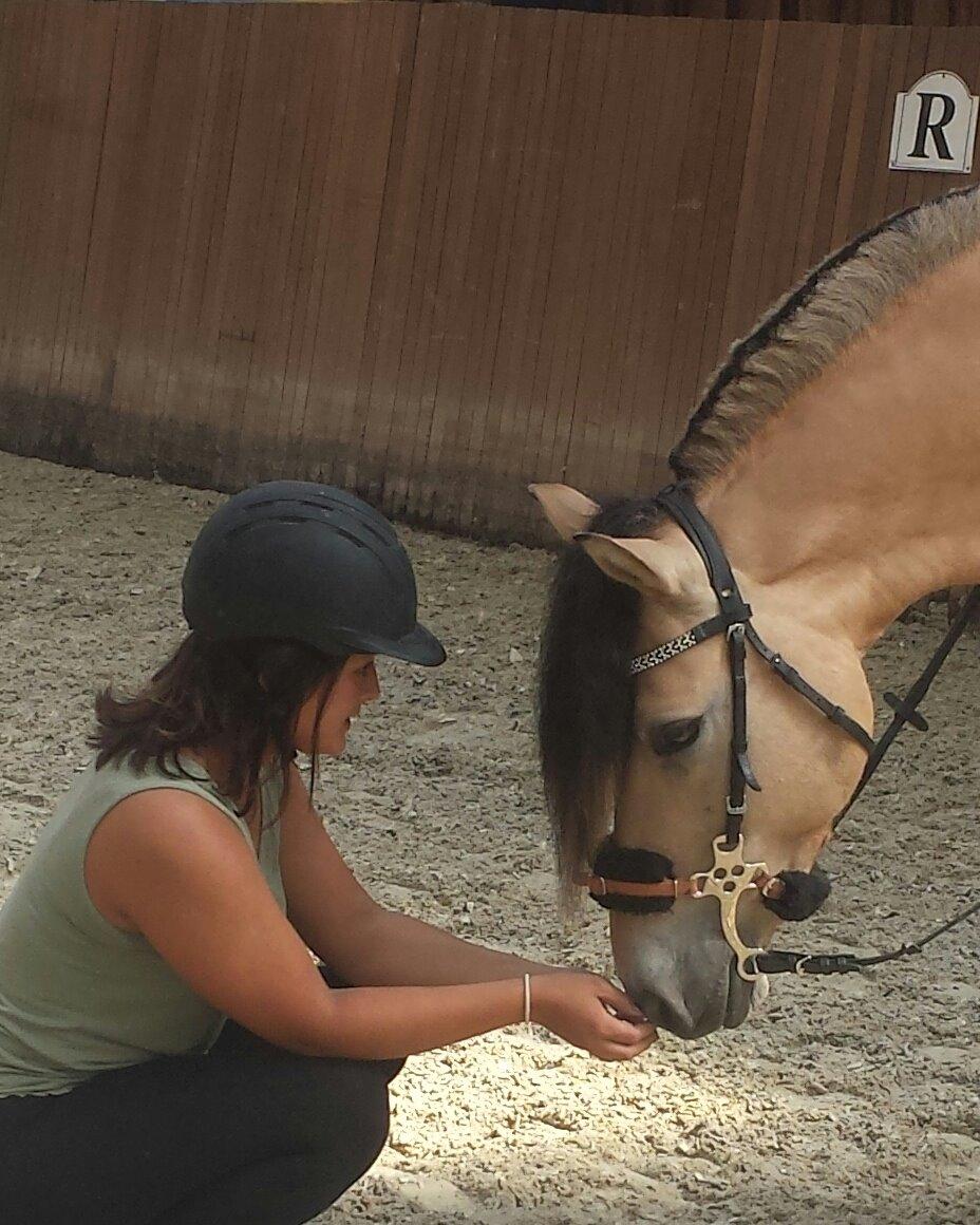 Anden særlig race Caroline billede 6