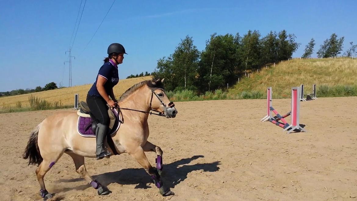 Anden særlig race Caroline billede 7