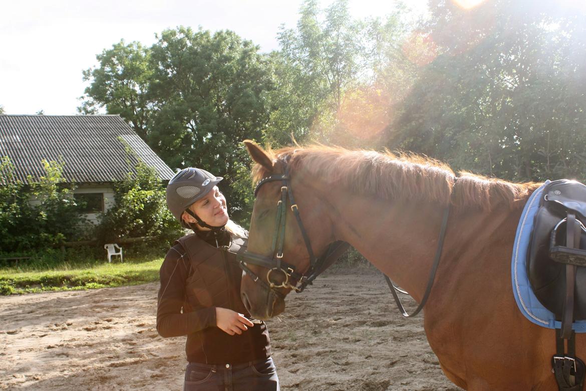 Fuldblod (XX) Macho Dancer (Ire) billede 16