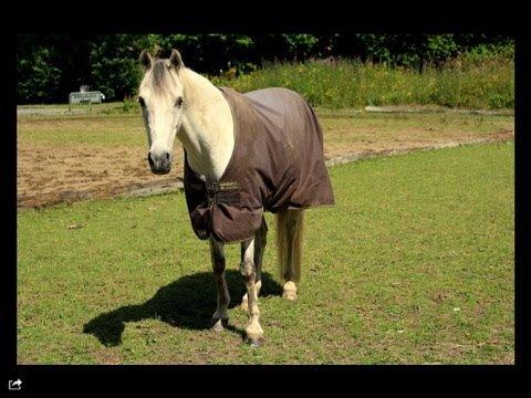 DSP Baxter billede 16