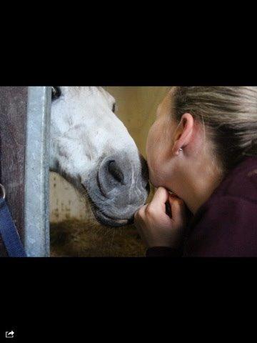 DSP Baxter billede 15