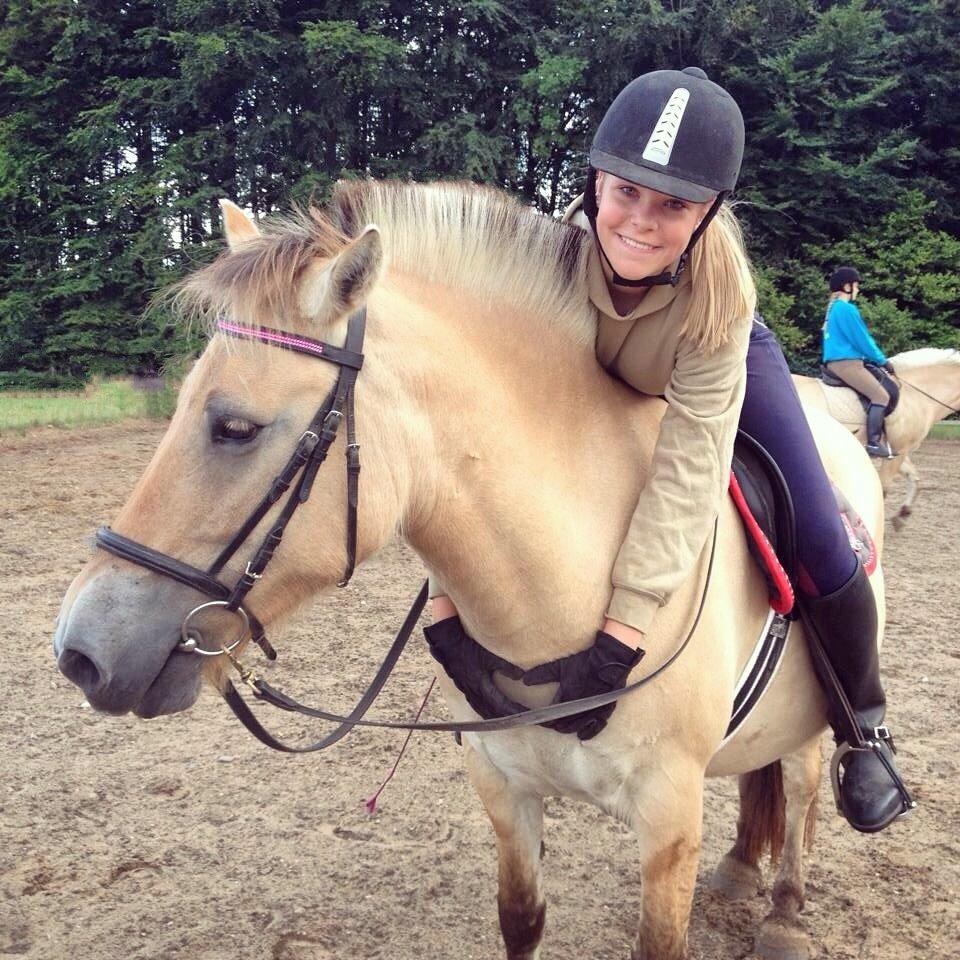 Fjordhest Felicia billede 1