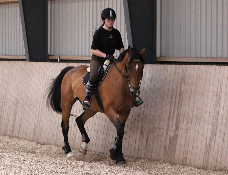 Anden særlig race Arcibald - Arci og Jeg på Efterskole <3 billede 4