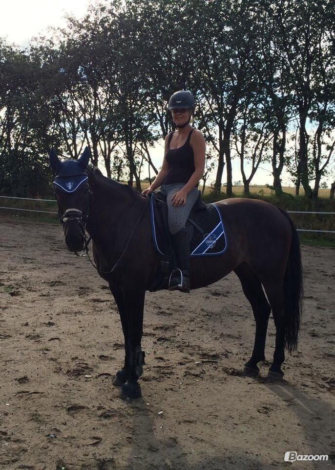 Oldenborg Sally af Skovvang billede 16