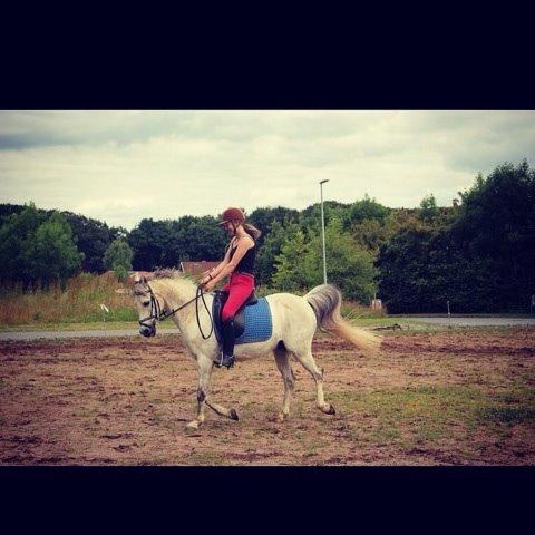 DSP Baxter billede 18