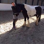 Tinker Irish swans lord landon