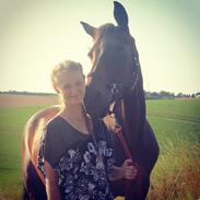 Dansk Varmblod Sabine Esperanza