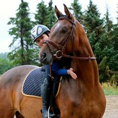 Trakehner Inarre(Babyhesten)