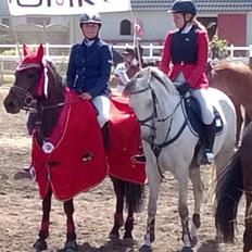 DSP Holmgaards Dalí