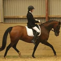 Oldenborg Passadena avenue