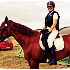 Anden særlig race Møllegårdens Pallas Athene