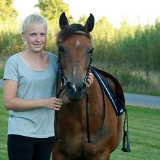 Hollandsk Sportspony Jasmijn