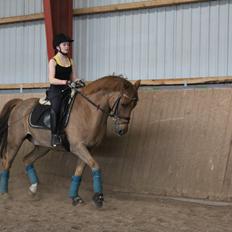 DSP Tovdal's Balooca