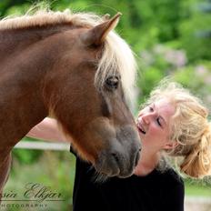 Shetlænder Følfods Nirvana