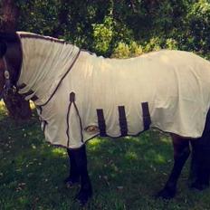 Anden særlig race  | Ponyo Chusteau