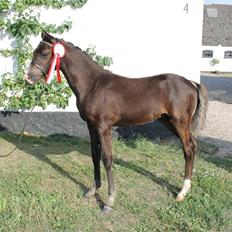 DSP Fredbo´s Zip code