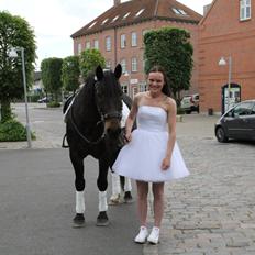 Anden særlig race Krumme *part*