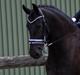 Frieser Oliver, STER