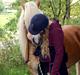 Haflinger Mille;-*